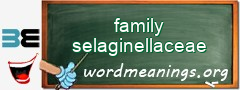 WordMeaning blackboard for family selaginellaceae